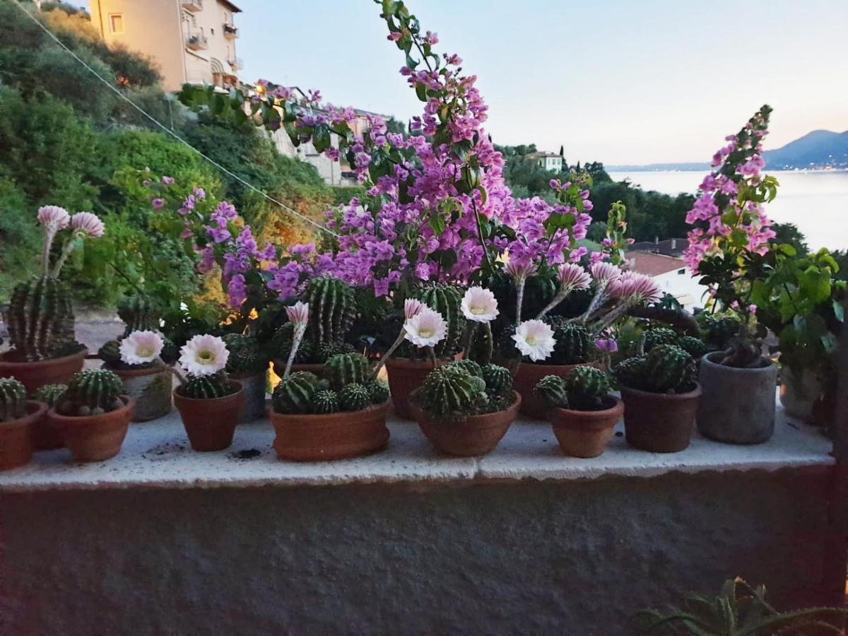 Villa Le Due Terrazze Brenzone sul Garda Exterior foto