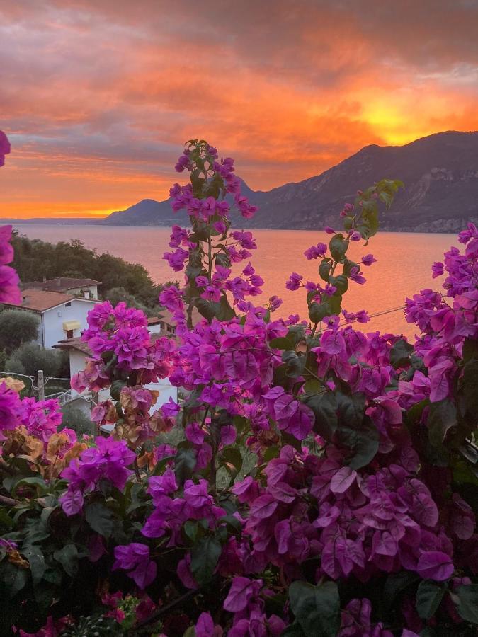 Villa Le Due Terrazze Brenzone sul Garda Exterior foto